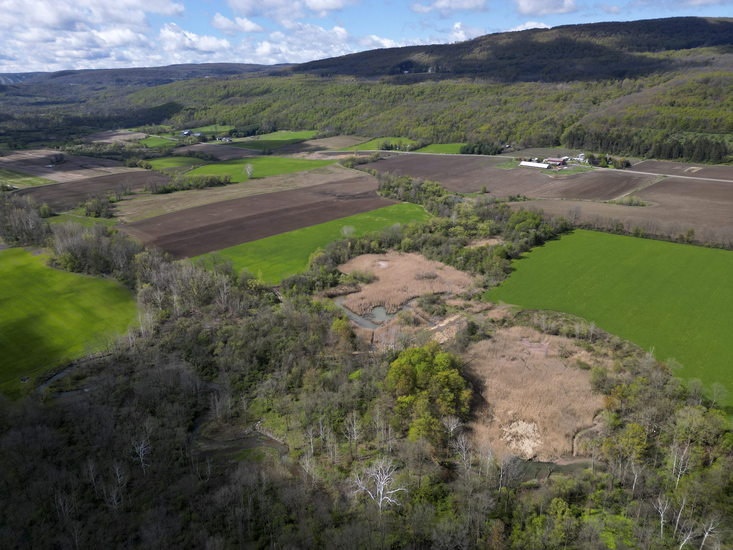 https://centralcurrent.org/after-35-years-of-research-and-no-solution-onondaga-nations-leader-laments-the-cultural-cost-of-mudboils/ social preview image